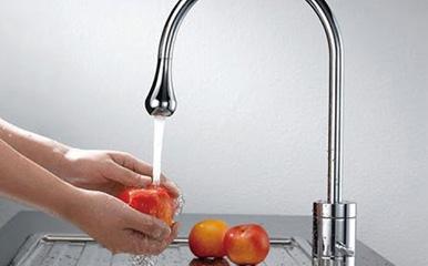 Domestic Pump