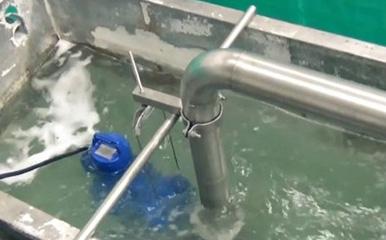 Sewage Pump